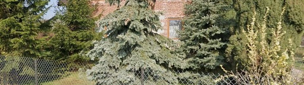 Dom 120m2 z działką 1ha, łódź bałuty