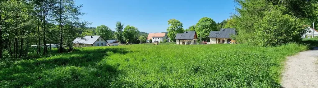 Działka na sprzedaż 4000m2