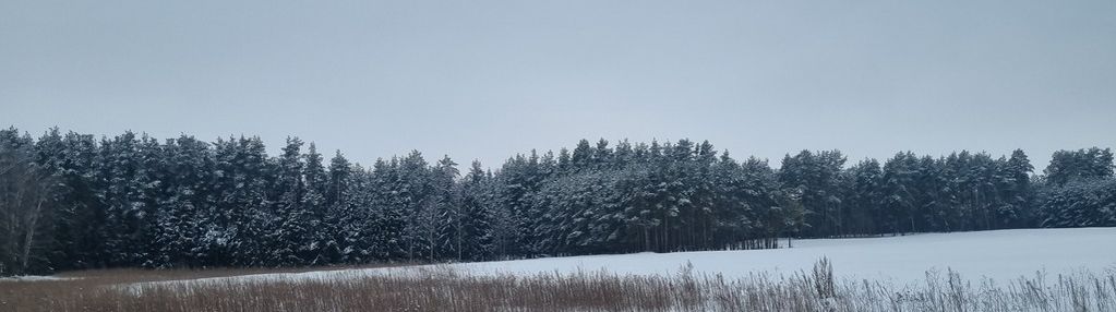 Działka z widokiem na las, pozwolenie na budowę