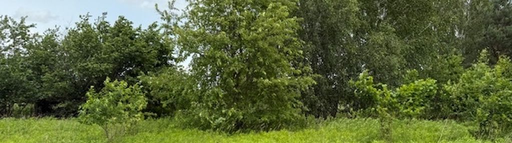 Działka budowlana 1000m2 walendów, gm. nadarzyn