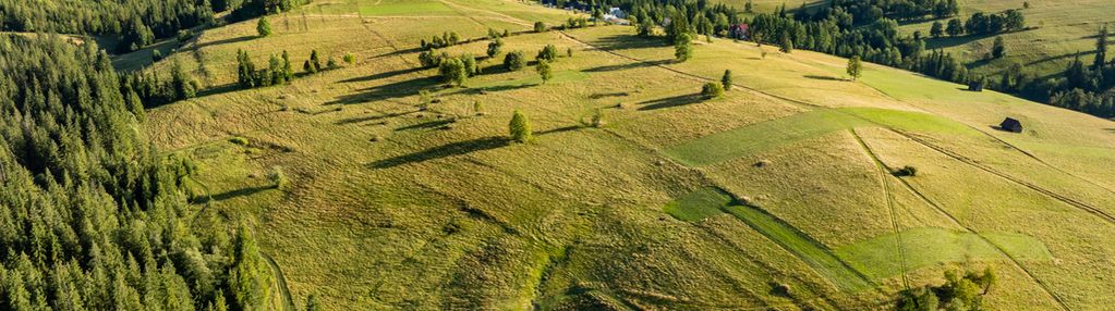 Działka rolna zakopane