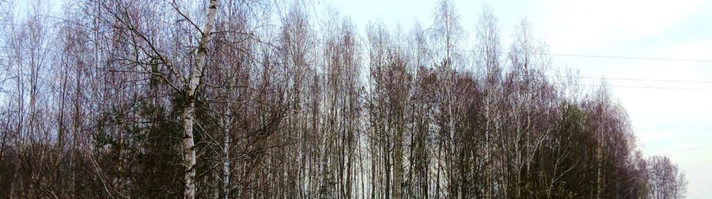 Działka przy lesie-cisza i przestrzeń