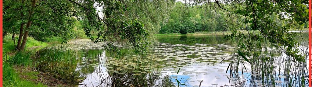 Wybuduj dom -  krajeński park krajobrazowy!