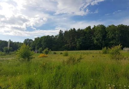 Działka-łężyce