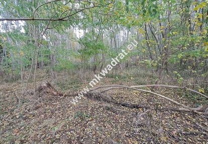 Atrakcyjna działka 1347m2, wyględy, pod kampinosem