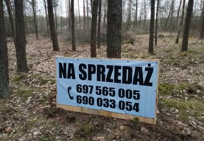 Błędowo działka budowlana - las