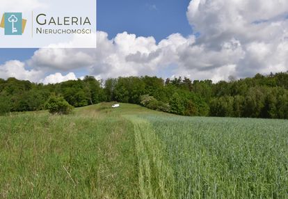 Urokliwa działka w otaczaniu lasu - myślęcin