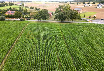 Wybuduj się w sąsiedztwie natury
