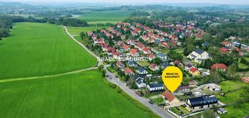 Dom przy polach witkowickich, prądnik biały