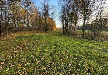 Działka bud-rolna łomnica -2,47 ha
