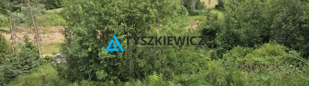 Działka w warzenku nad jeziorem tuchomskim