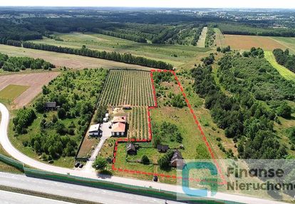 Działka inwestycyjna przy s8, 1,0285 ha, podlas