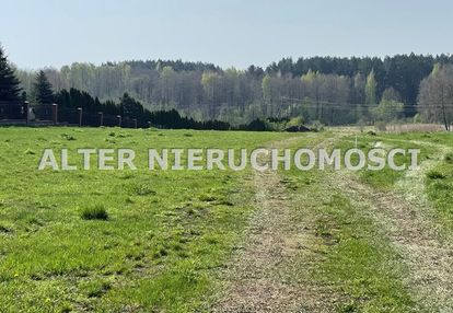 Foremne działki w ignatkach