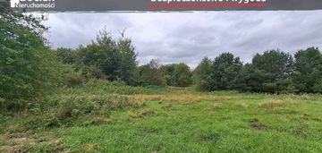 Kompleks działek w skrzeszewie żukowskim!