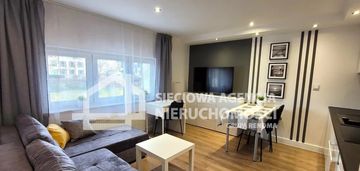 Kawalerka w orłowie