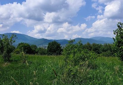 Widokowa działka rolno-budowlana 9275 m² – lipowa