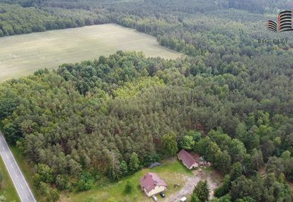 Piękna działka leśna z możliwością zabudowy
