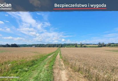 Płaskie działki z malowniczym widokiem! kczewo