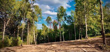 3 duze działki na wzgórzu magdalenki,otulone lasem