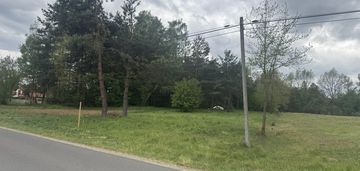Duża działka z wz -  otulona lasem