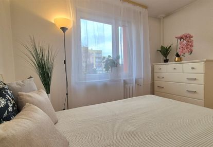 Kalinowa|słoneczne|parking|komórka