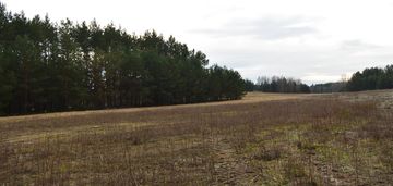 Działka o pow. 337 500 m2 ewelinów, gm. łopuszno