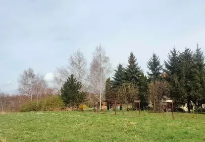 Działka na sprzedaż 6031m2