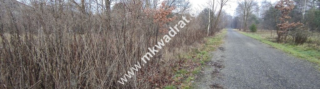 ⭐⭐⭐⭐  działka budowlana 4851 m budy grzybek ⭐⭐⭐⭐