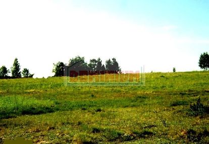 Działka *** kruszewo *** 1035 m2