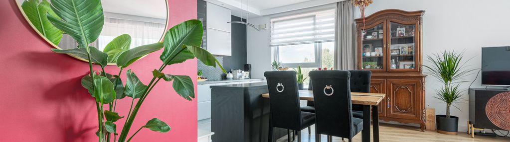 4 pokoje/2 garaże/siłownia/bez prowizji