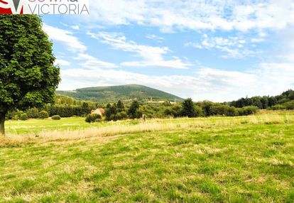 Widokowa działka pod lasem , prąd na działce