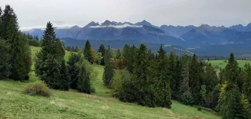 Azyl pod dom, kameralny ośrodek. Kompleks 1,3 ha