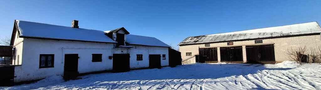 Gospodarstwo sadownicze 6,86 ha franciszków