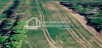 Działka rolna 3000 m2 bychowo/gniewino