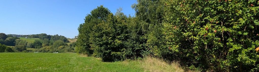 Atrakcyjna działka rekreacyjna 10a, janowice