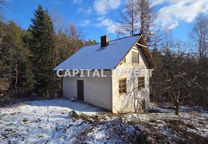 Dom w lesie nad jeziorem