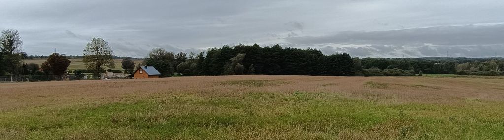 Ełganowo/trąbki wielkie - 10siedlisk o pow. 3200m2