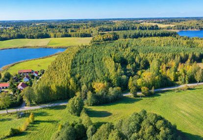 Własny las w sercu mazur w pobliżu jeziora