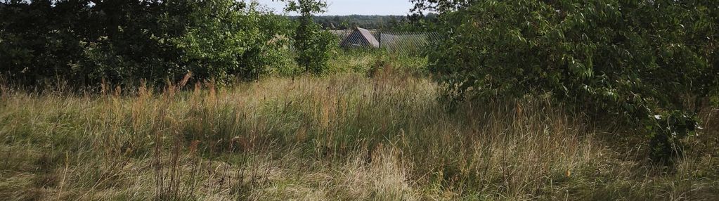 Dzałka w strzemieczne-wiosny-cisza, natura,dogodny dojazd