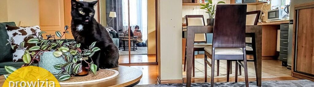 3 pokoje, ogród, szkola, balkon, osowa!