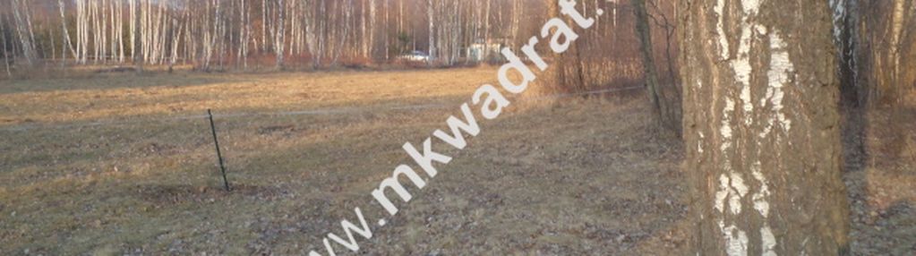Działka budowlana! z lasem 1/3 pow. w m.stare budy