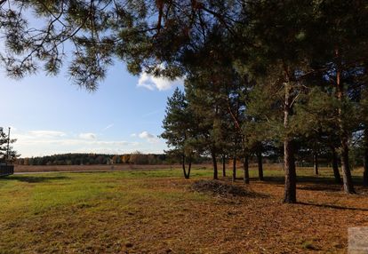 Działka budowlana w otoczeniu zieleni– zmysłówka