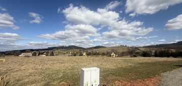 Działka w olszynach