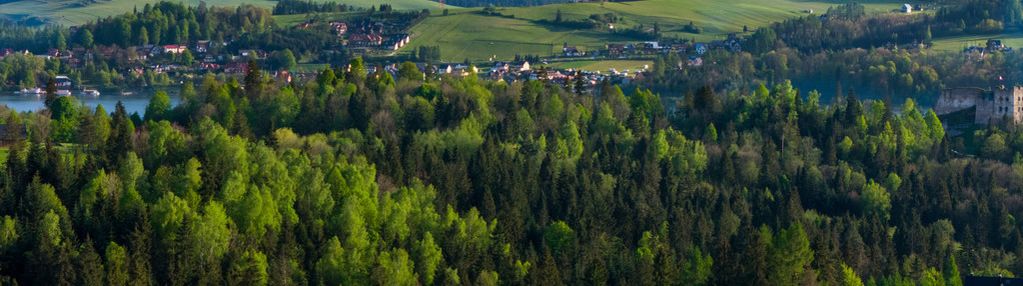 Widok na tatry i jezioro czorsztyńskie