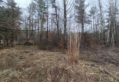 Działka rekreacyjna 3.984m2 media w drodze