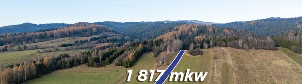 Twój kawałek natury w ostrowsku