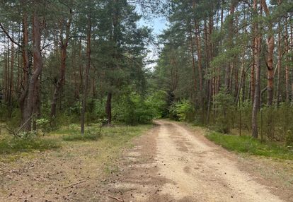 Wyjątkowa działka nad narwią i bugiem