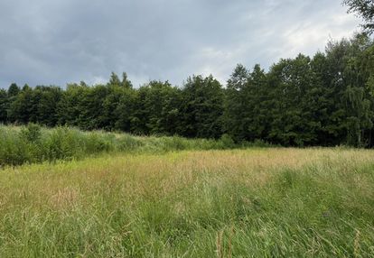 Działka budowlana w pawlikowicach na sprzedaż!