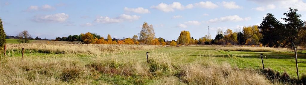 Działka z domkiem w węglowicach