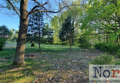 Działka w pobliżu augustowa